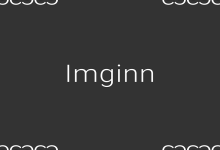 Imginn