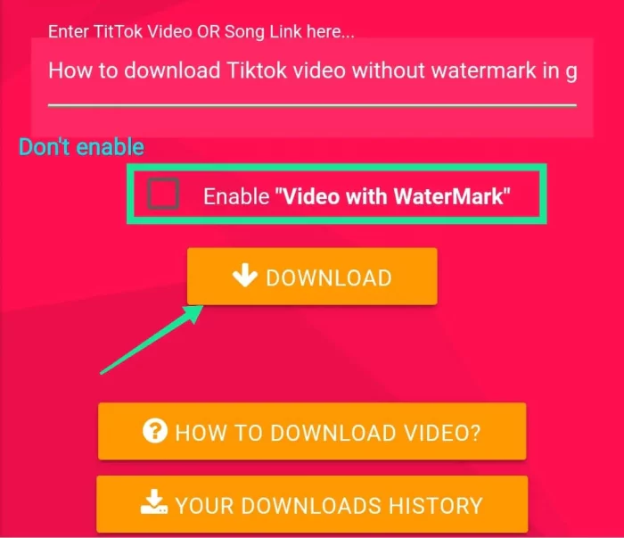 TikTok Video Downloader