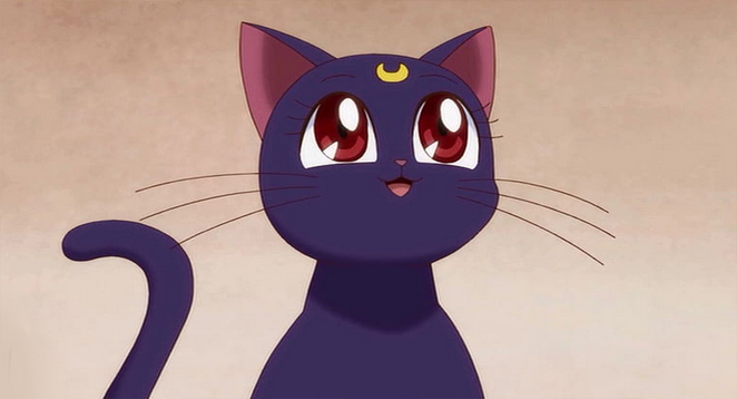 Luna Sailor Moon Character