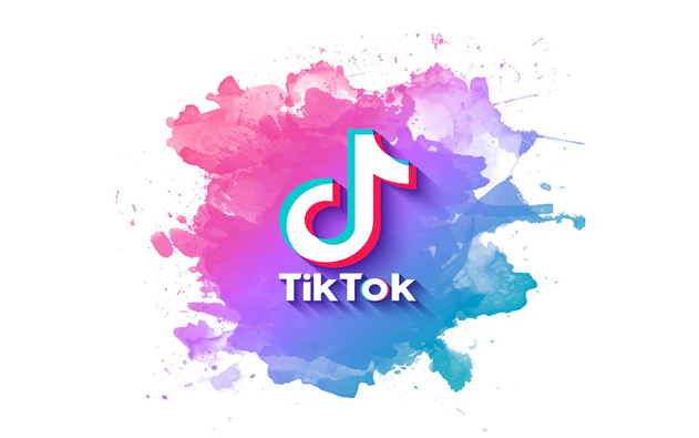 Get Verified on TikTok Without Followers