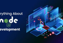 Node.js developer