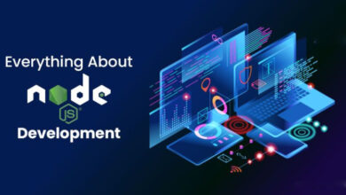 Node.js developer