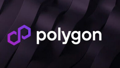 Polygon payments