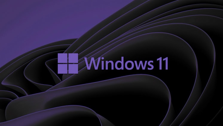 Windows 11 Pro product key